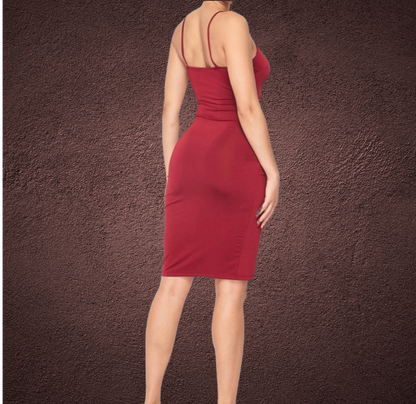 Alizaye Maroon Dress